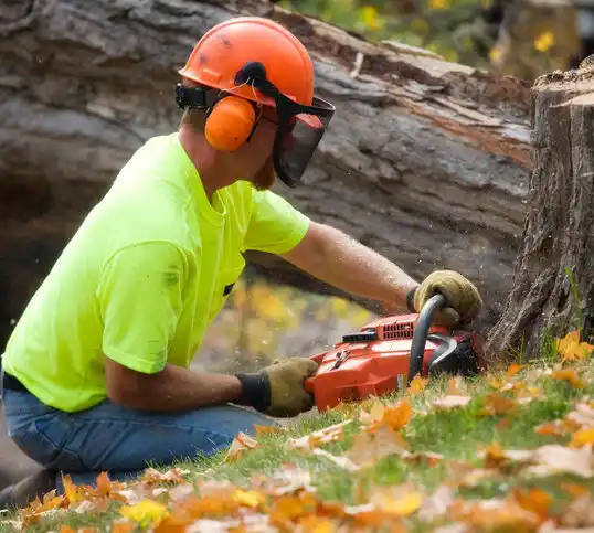 tree services Prudenville